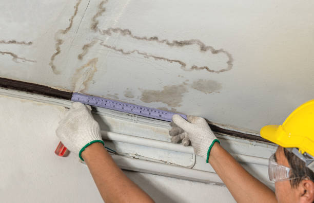 Reliable Mold Remediation contractor in Danbury, NH by Local Water Damage Repair